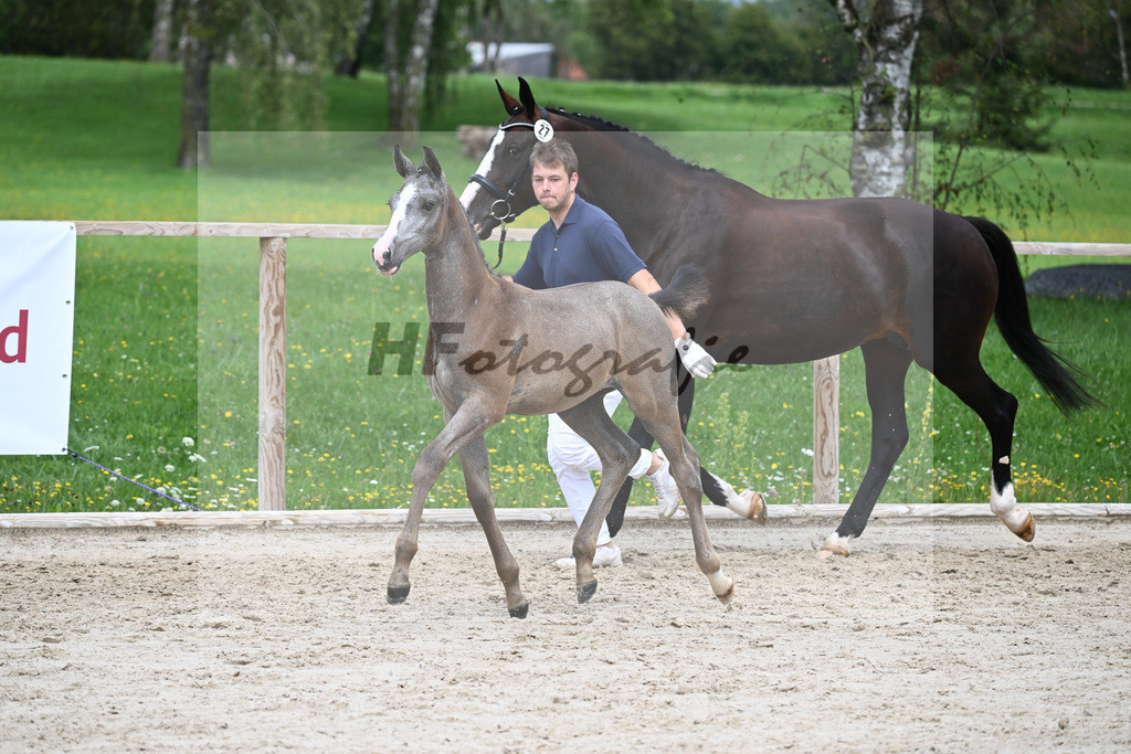 Kat-Nr. 27 SF Arezzo Man_Schwarz GbR_25230717 | hf-fotografie - Realisiert mit Pictrs.com