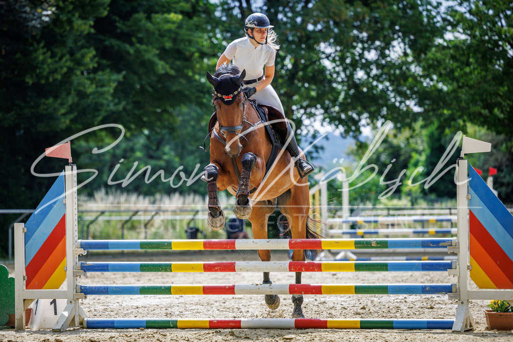20260705-_3LI4628 | Tierfotografie Pferde, Hunde, Katzen, Haustiere.
Turnierfotografie Reitturniere, Reiten, Springreiten, Dressur in Hanau, dem Main-Kinzig-Kreis und dem Rhein-Main- Gebiet um Frankfurt