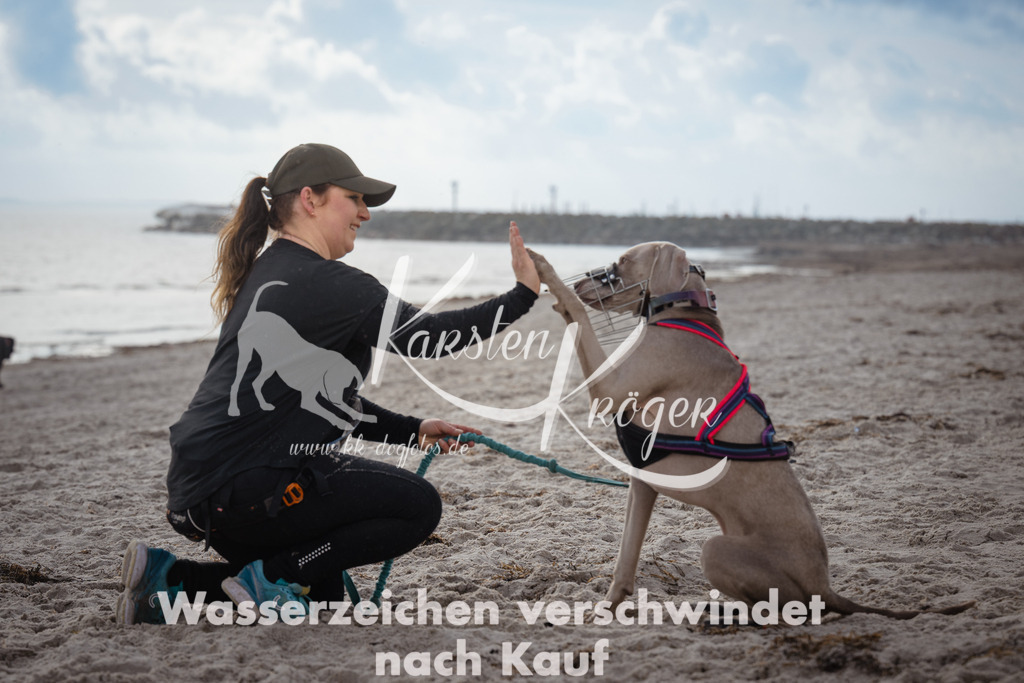 1225_ZZ96542 | kk-dogfotos