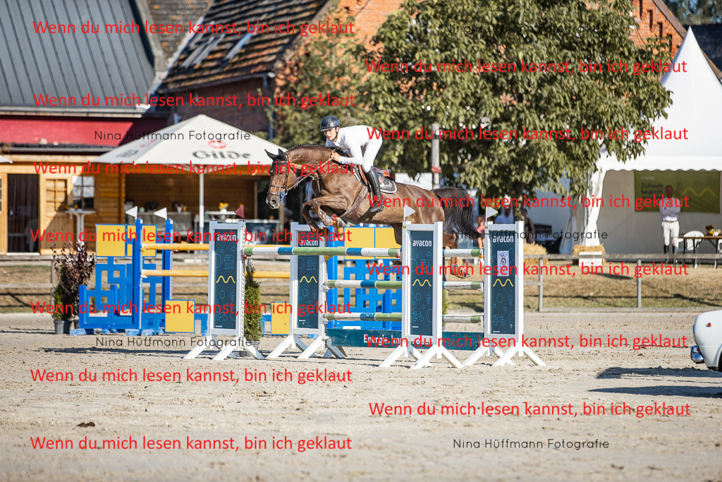 BK1A8713 | Turnierbilder Turnierfotos Nina Hüffmann Turnierfotografie Pferdefotografie Tierzeichnung Haustierzeichnung Pferdezeichnung Hundezeichnung Videograf  - Realisiert mit Pictrs.com