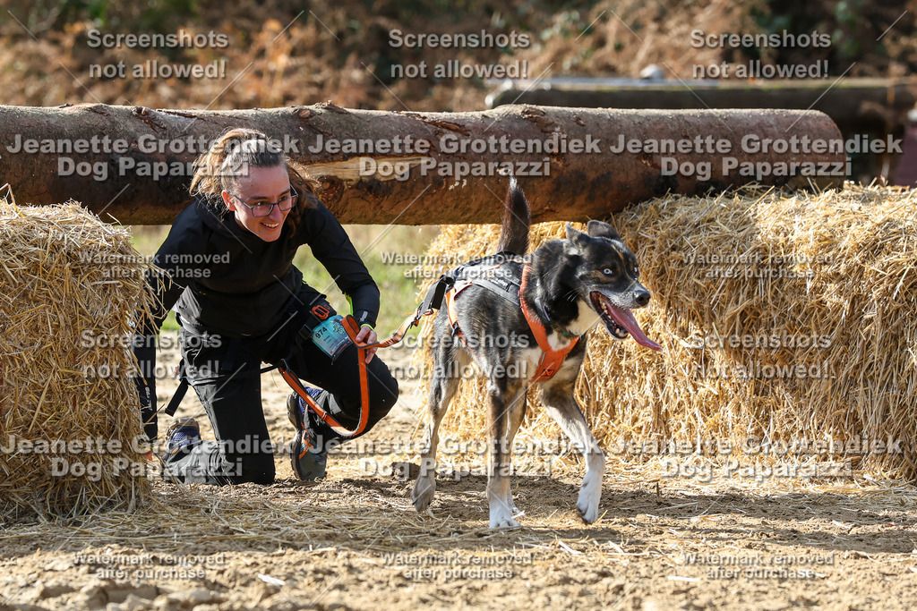 Dog Paparazzi - Strongdog 10-25-5882 | Dog Paparazzi Jeanette Grottendiek Fotografie & Videografie - Realisiert mit Pictrs.com