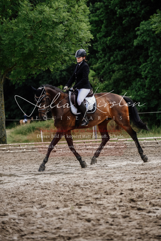 DSC_0776 | Pferde- und Turnierfotografie in Westsachsen. Pferdeportraits, Auftragszeichnungen und intuitive Kunst.