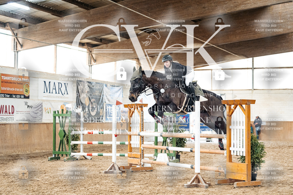 CK906210 | Turnierfotografie Pferdefotografie Trier Rheinland-Pfalz Pferdesport Reitsport Tierfotografie Sportfotografie Pferdevideo Pferdevideografie Equestrianvideography equestrianphotography  - Realisiert mit Pictrs.com