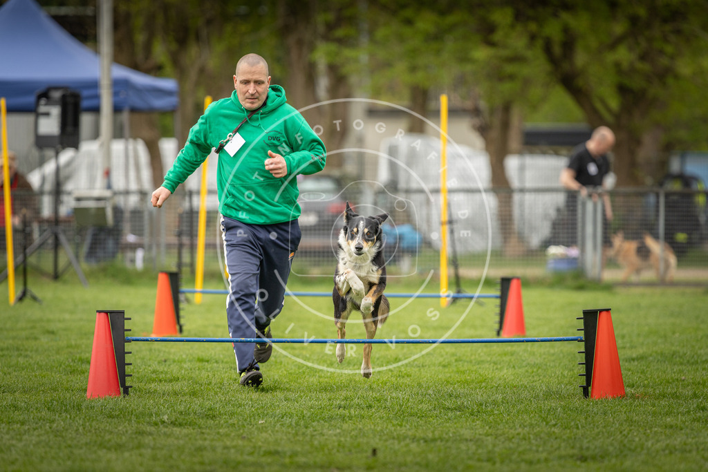 Pfotenfotografie_DV3A2696 | Hundefotografie, Tierfotograf, Pfotenfotografie, Fotoshooting Hund, Hunde Portrait, Hundesport, Hundeportraits, Heideshooting, Hunde, Sportfotograf, Hundefotograf, Turnierhundsport, THS,  - Realisiert mit Pictrs.com