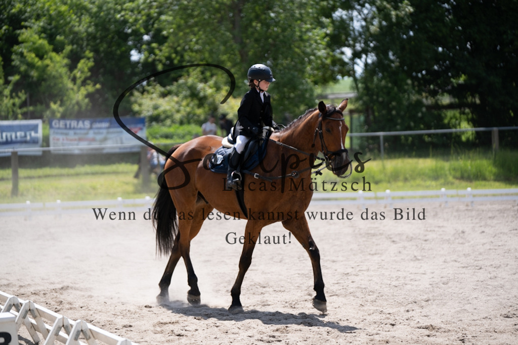 A7V02979 | Pferdefotograf