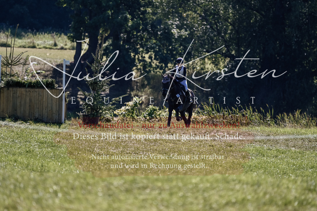 DSC_1595 | Pferde- und Turnierfotografie in Westsachsen. Pferdeportraits, Auftragszeichnungen und intuitive Kunst.