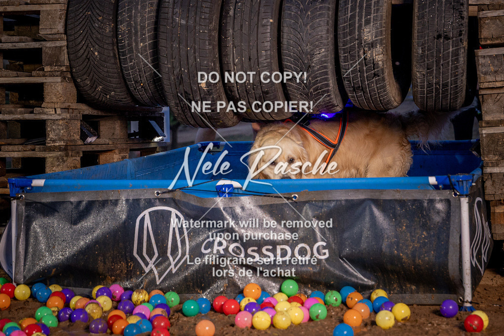 nelerasche_SummerNights26_Sa2100-2130_351 | nelerasche