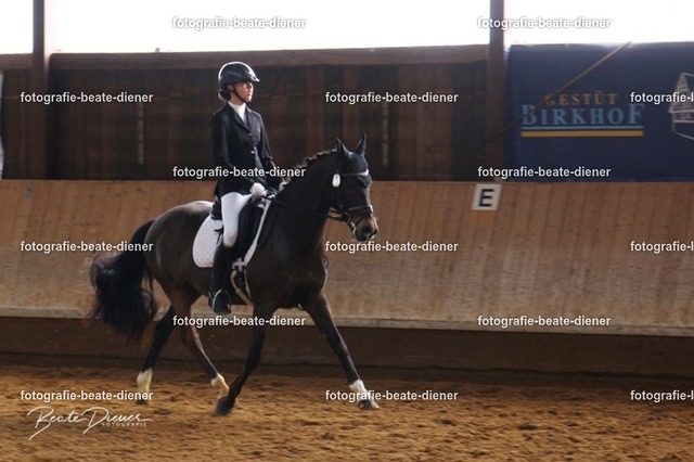 JugendTrophy0271 | Fotografie, Tiere, Hunde, Katzen, Pferde, Sportfotografie, Fotosession, Tierfotografie, Turnierfotografie, Fotografin, Fotograf - Realisiert mit Pictrs.com