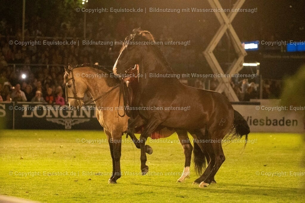 20230526_Pferdenacht_1449 | equistock