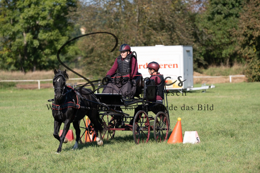 A7V04336 | Pferdefotograf