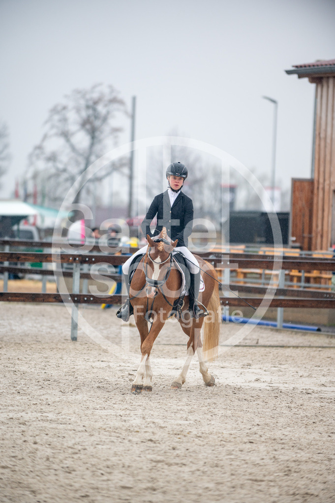 DSC_5734 | sattelsport - Realisiert mit Pictrs.com