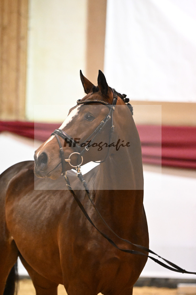 Kat-Nr. 48 Taycan B x Lavall I_Stahl_47241243 | hf-fotografie - Realizzato con Pictrs.com