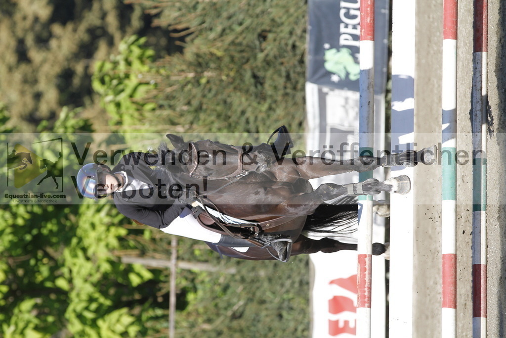 _MG_4733 | equestrian-live-com