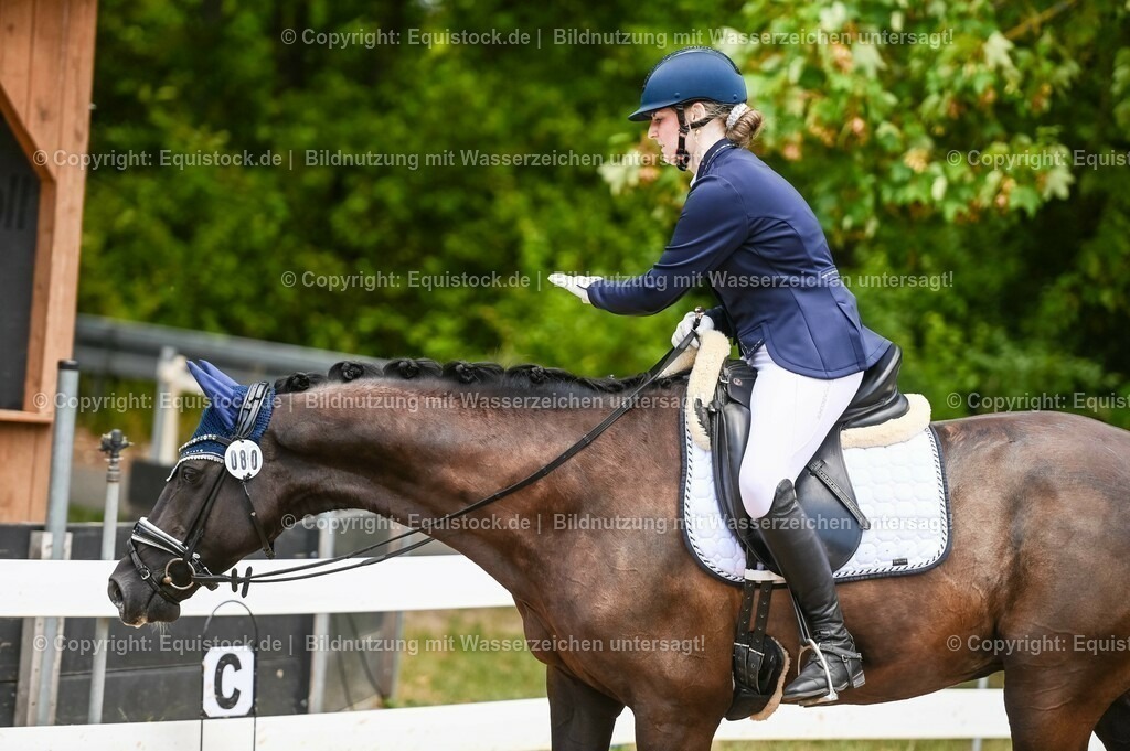 20230716_03_Dressurprfg. Kl.L - Tr._0647 | equistock
