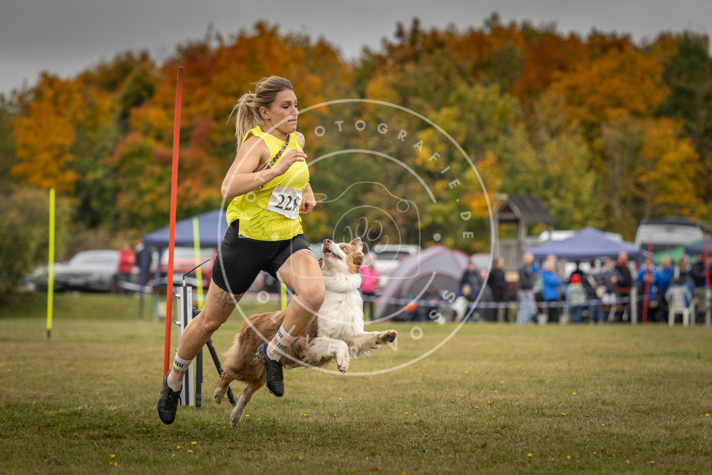 Pfotenfotografie_DV3A3720 | Hundefotografie, Tierfotograf, Pfotenfotografie, Fotoshooting Hund, Hunde Portrait, Hundesport, Hundeportraits, Heideshooting, Hunde, Sportfotograf, Hundefotograf, Turnierhundsport, THS,  - Realisiert mit Pictrs.com