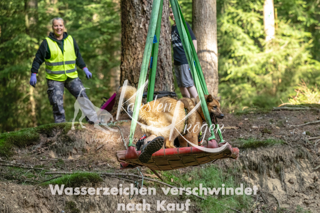 1115_ZZ94534-Bearbeitet | kk-dogfotos