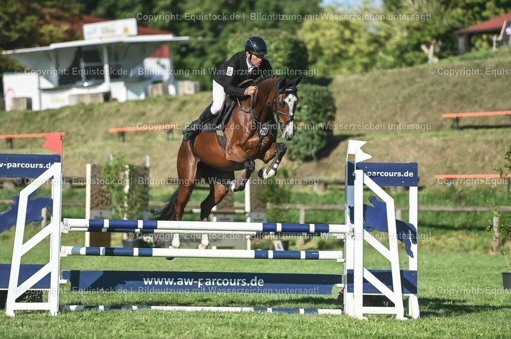 20230908_14-15_Springpferde-A_0092 | equistock
