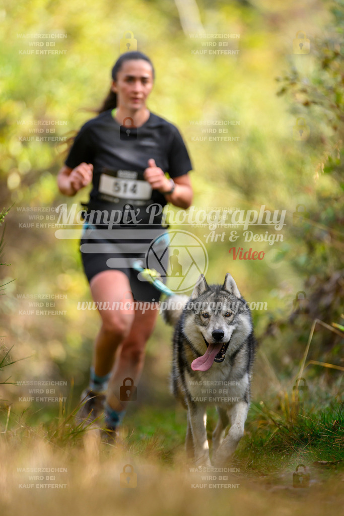 MompixPhotography_20TSB_E4_Run-209 | PayLife