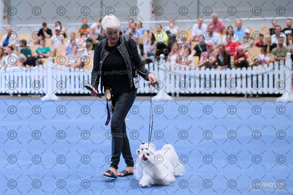 202406_ÖKV-IHA-Tulln24_DSC_3700 | proPHOTO - Realisiert mit Pictrs.com