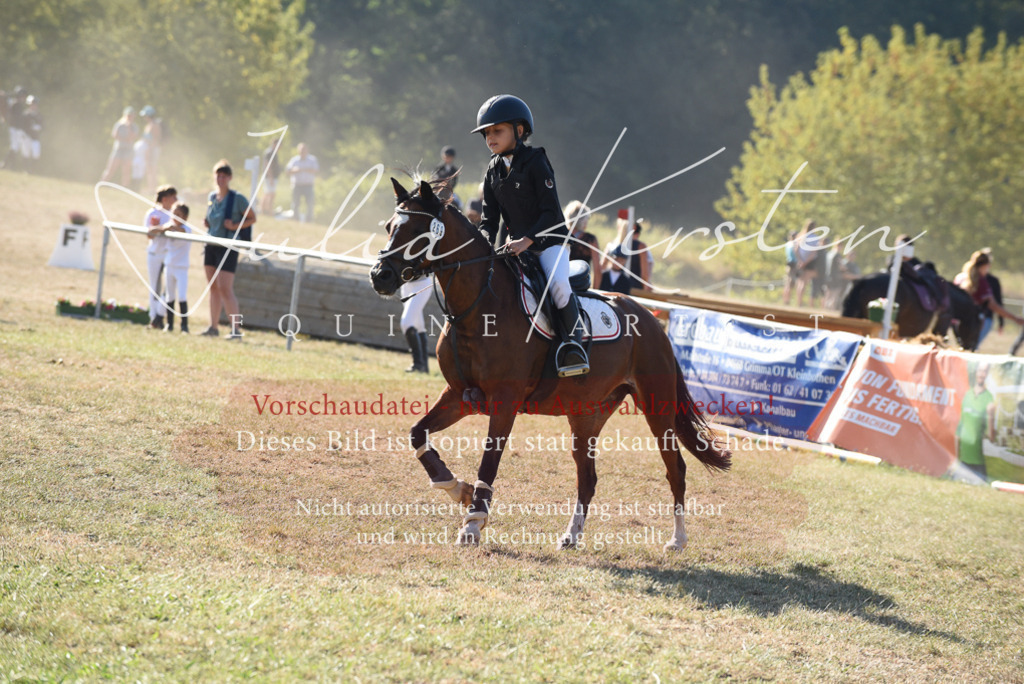 DSC_5764 | Pferde- und Turnierfotografie in Westsachsen. Pferdeportraits, Auftragszeichnungen und intuitive Kunst.