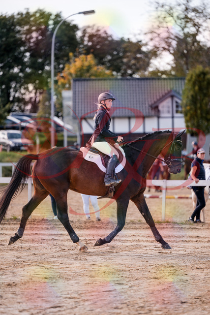 2026_10_03_Siefer-Hof_143941_Z81_10053082 | Professionelle Reitsport-, Turnier- und Eventfotografie von Robert Broda. Galerien mit ausgewählten und bearbeiteten Bildern direkt online ansehen und bestellen.