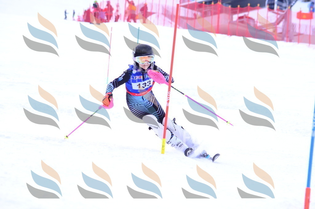 B1798 | holidayphoto