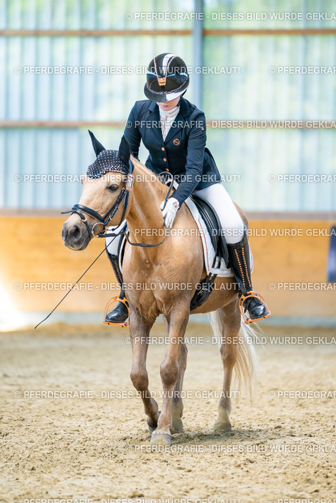 DSC07688 | Pferdegrafie