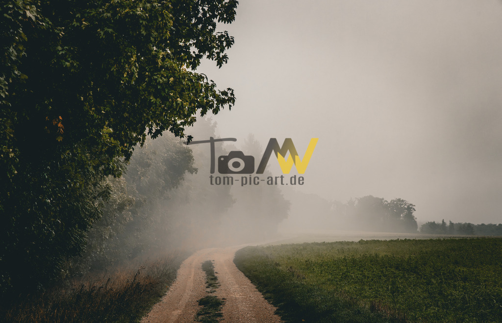 Herbstlicher Blick auf einen Forstweg im Nebel im Altmühltal | Das Bild zeigt eine ländliche Szene, die von dichtem Nebel durchdrungen ist.Die Szenerie umfasst: Einen unbefestigten Feldweg, der sich von links unten in die neblige Ferne schlängelt.Dunkles Laubwerk eines Baumes, das die linke Seite des Bildes dominiert.Grüne Felder, die den Weg auf der rechten Seite säumen und in der Ferne im Nebel verschwimmen. - Realisiert mit Pictrs.com