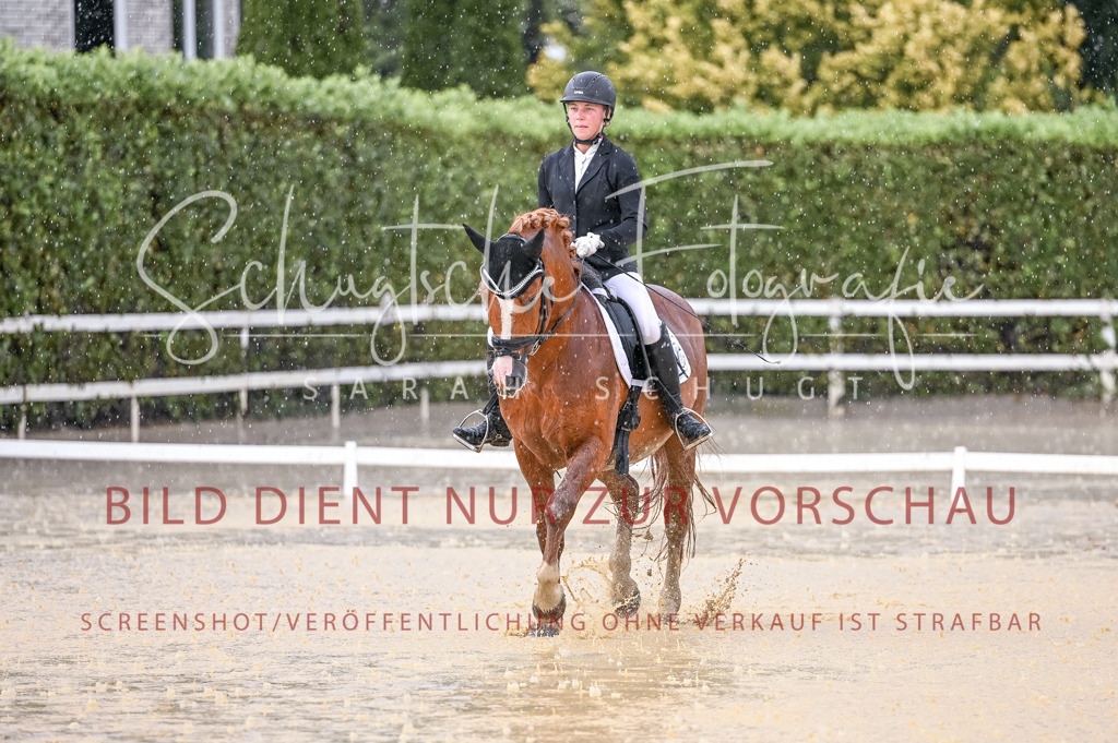 Schugtsche-Aluta25-54.Dressurprf.L1Trense-77 | Schugtsche Fotografie - Realisiert mit Pictrs.com