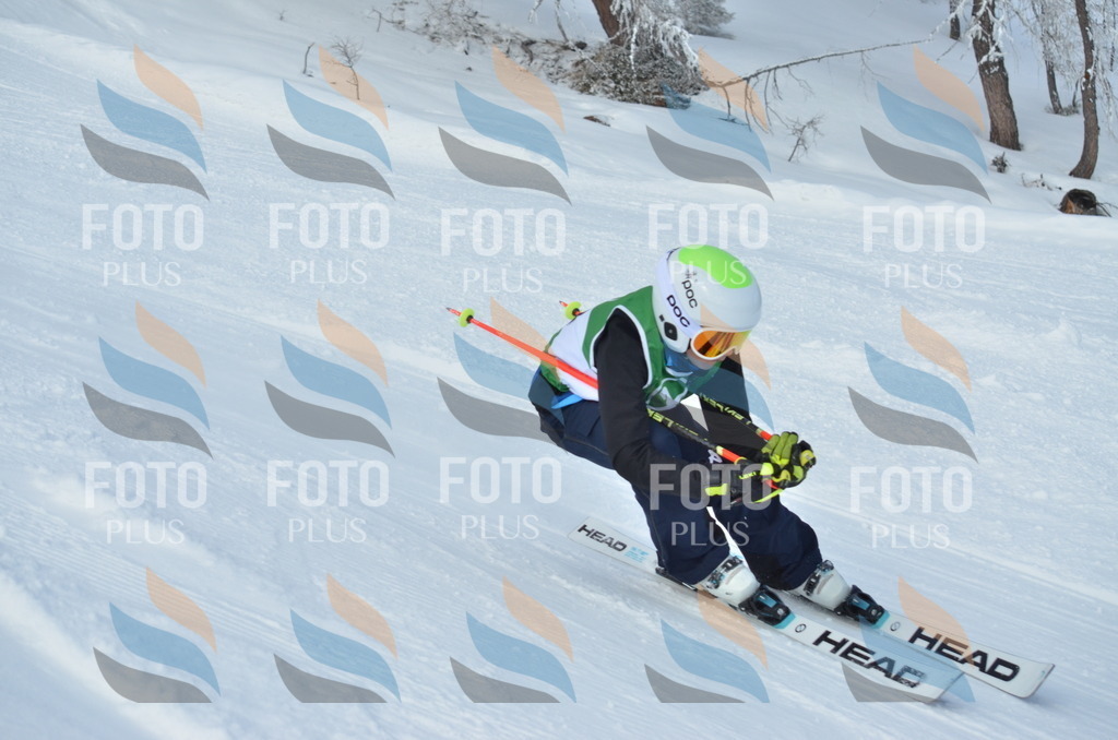 D8786 | holidayphoto