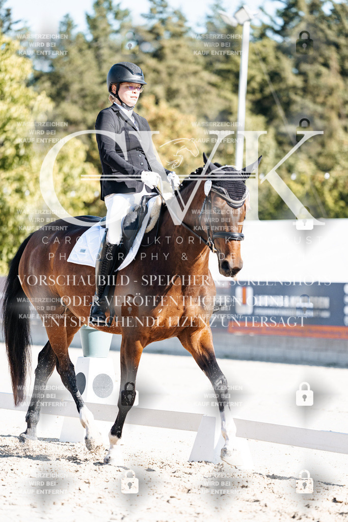 CK908049 | Turnierfotografie Pferdefotografie Trier Rheinland-Pfalz Pferdesport Reitsport Tierfotografie Sportfotografie Pferdevideo Pferdevideografie Equestrianvideography equestrianphotography  - Realisiert mit Pictrs.com