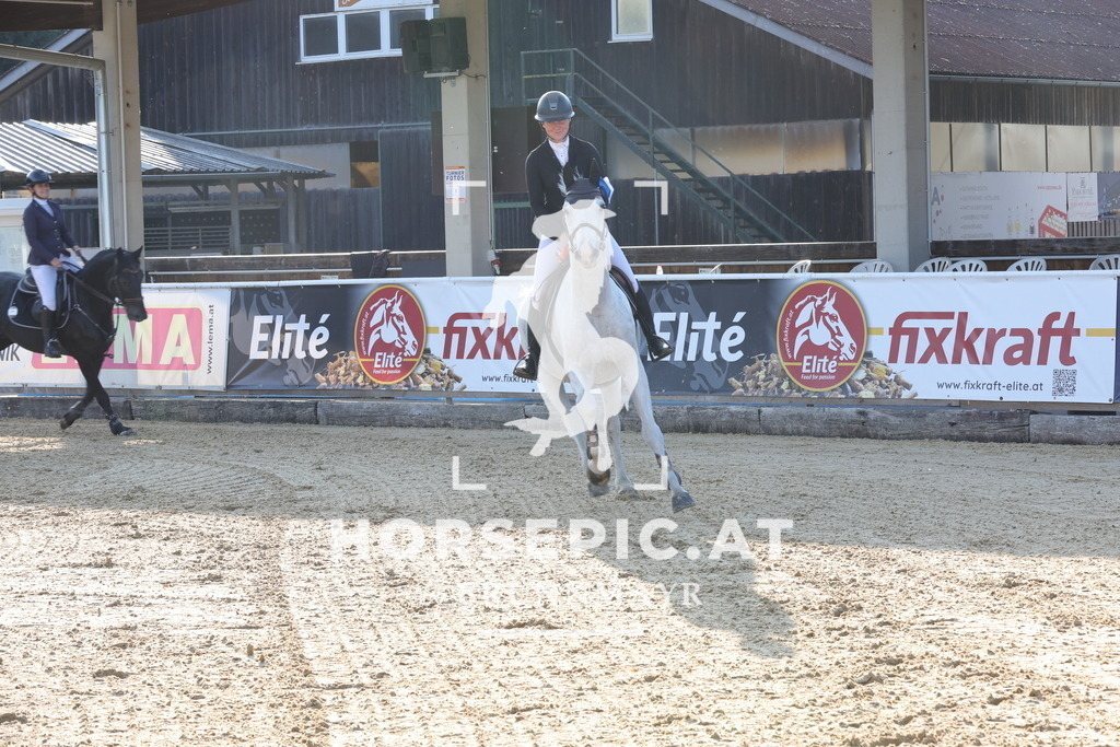 0P6A8374 | Willkommen bei Brunnmayr - Design & Fotografie – Ihrem Spezialisten für Reitturniere und Pferdeveranstaltungen in Oberösterreich, Salzburg und Bayern! Seit über 17 Jahren sind wir leidenschaftlich dabei.