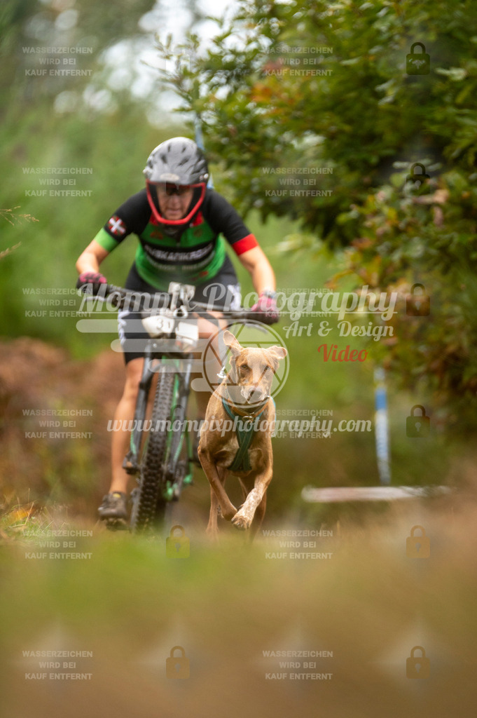 TSB_2023_E5_Bike-66 | PayLife