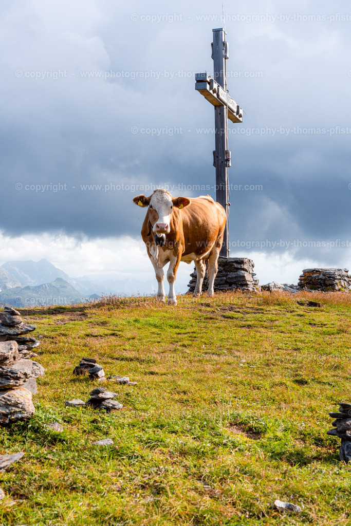 Isskogel Gerlos Sommer copyright  Thomas Pfister-2 | PHOTOGRAPHY BY THOMAS PFISTER