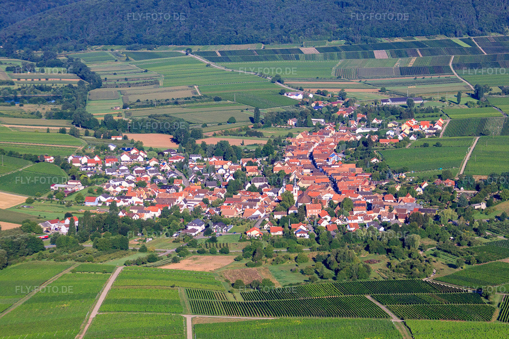 Luftbild: Dorfansicht von Osten in Göcklingen im Bundesland Rheinland-Pfalz in Deutschland. Foto: IMG_30921.jpg vom 07.08.2010 durch Werner Riehm/FLY-FOTO.de