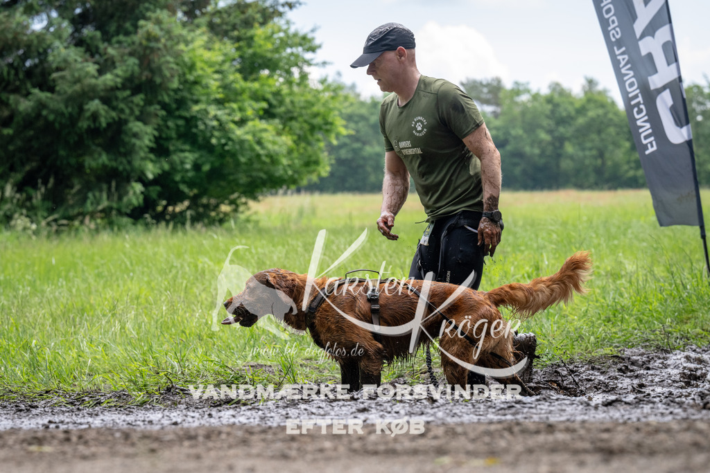 1115_ZZ92212 | kk-dogfotos