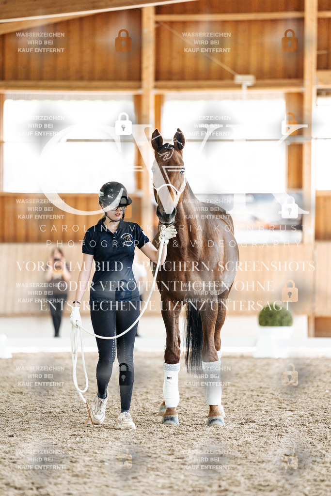 CK908291 | Turnierfotografie Pferdefotografie Trier Rheinland-Pfalz Pferdesport Reitsport Tierfotografie Sportfotografie Pferdevideo Pferdevideografie Equestrianvideography equestrianphotography  - Realisiert mit Pictrs.com
