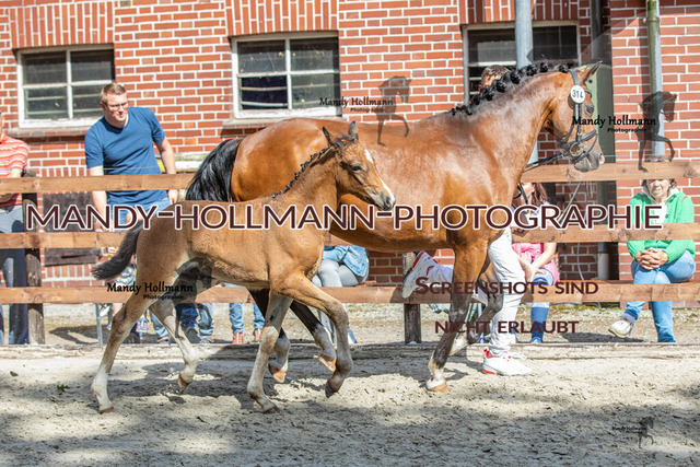 IMG_4895 | mandyhollmannphotographie