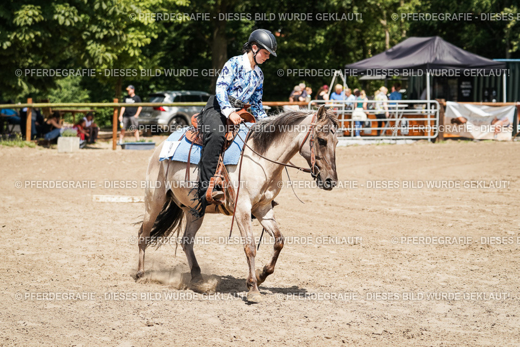 DSC07879 | Pferdegrafie