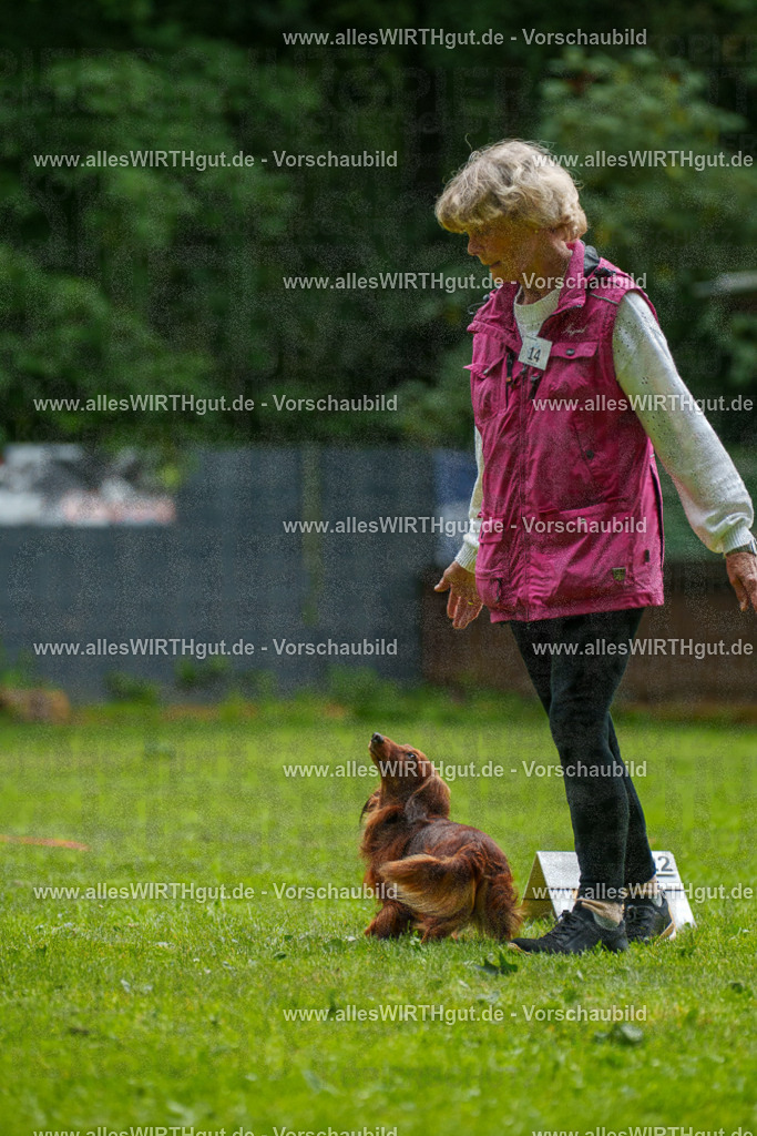 @allesWIRTHgut_Tierfotografie - www.allesWIRTHgut.de - 091045-7R506675 | Professionelle Tierfotografie in Mönchengladbach von Daniel Wirth (allesWIRTHgut). Liebevolle & natürliche Bilder von Hunden & Katzen für unvergessliche Erinnerungen.