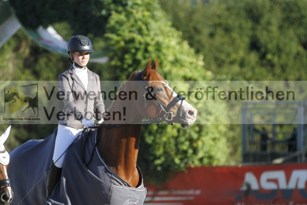 _MG_2946 | equestrian-live-com
