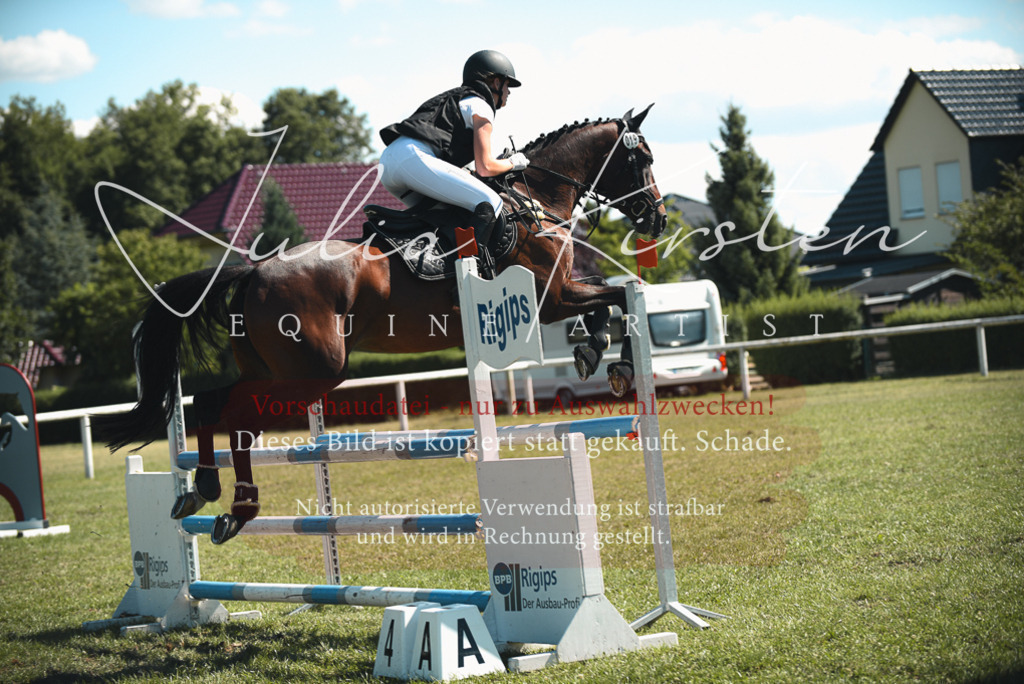 DSC_7206 | Pferde- und Turnierfotografie in Westsachsen. Pferdeportraits, Auftragszeichnungen und intuitive Kunst.