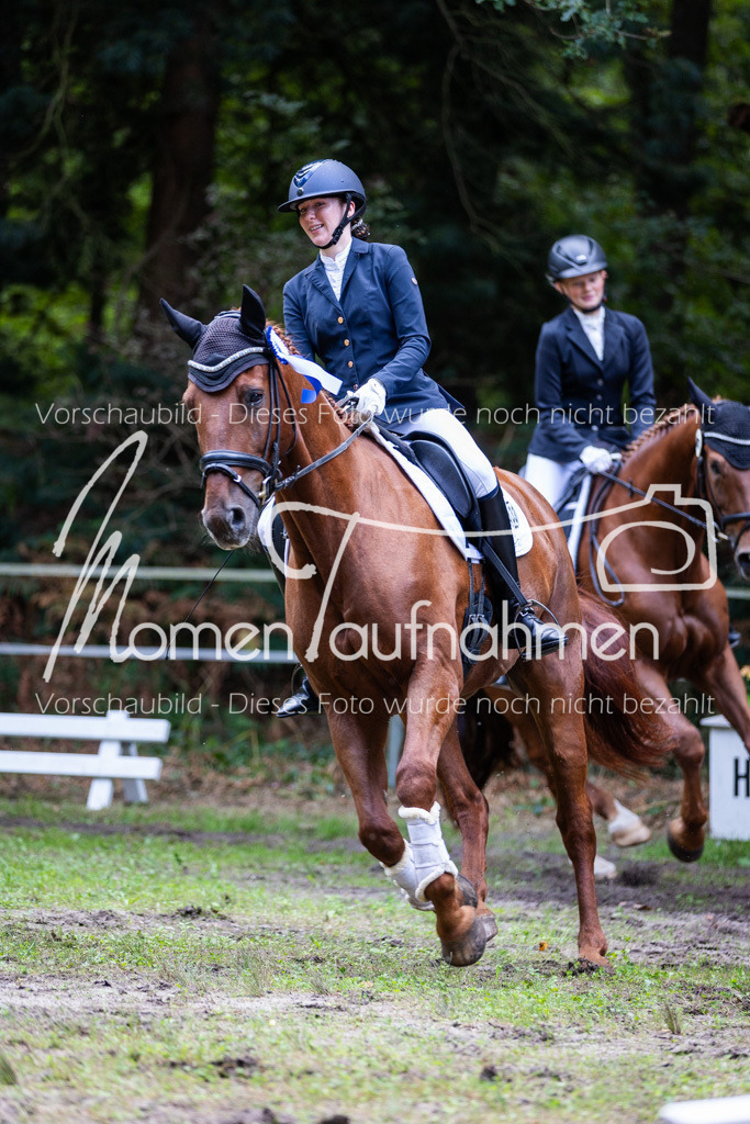 HB-A-Dressur-189 | MomenTaufnahmen Pferdesportfotos