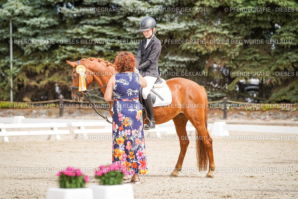 DSC02623 | Pferdegrafie