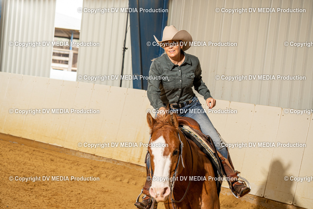 MIT00150 | dv-media-shop - Realisiert mit Pictrs.com