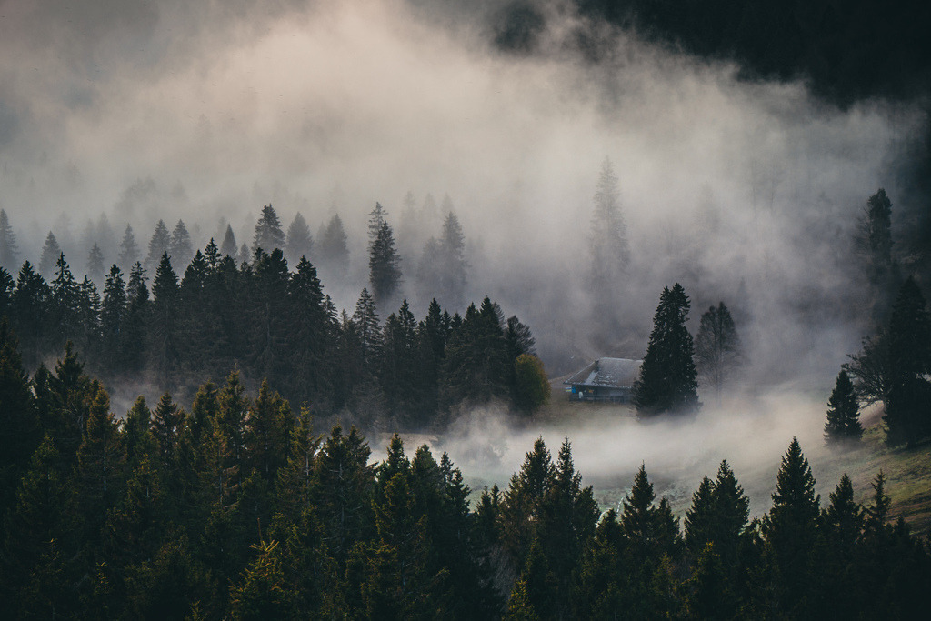 P1269781 | Bilder-Onlineshop für Heimatbilder vom Schwarzwald und Oberrhein. Galeriebilder auf Acrylglas, Alu-Dibond, Leinwand und Poster online bestellen. Der Schwarzwald als Wandbild für Ihr Zuhause! | Art, Kunst, Wandbilder, Black Forest, Deko - Realisiert mit Pictrs.com