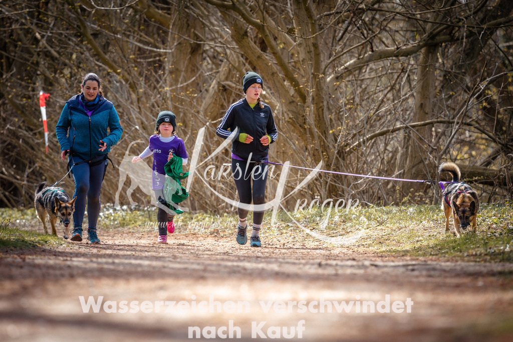 1037STR_0267 | kk-dogfotos