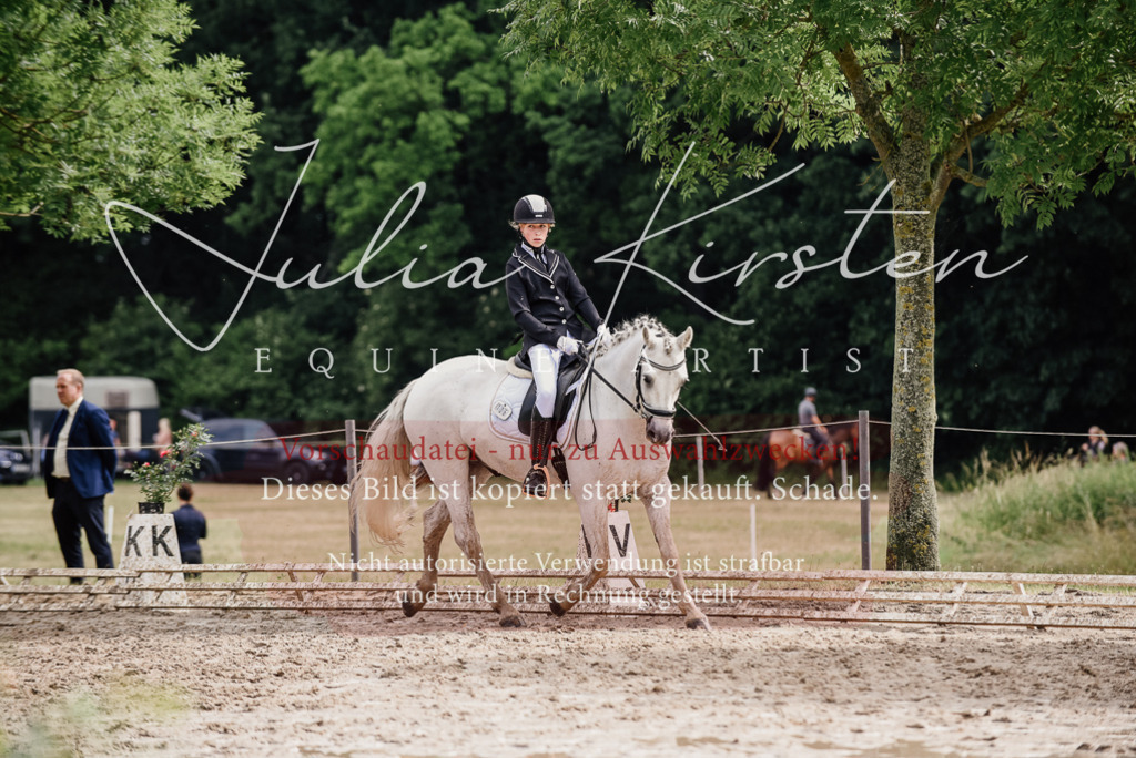 DSC_9463 | Pferde- und Turnierfotografie in Westsachsen. Pferdeportraits, Auftragszeichnungen und intuitive Kunst.