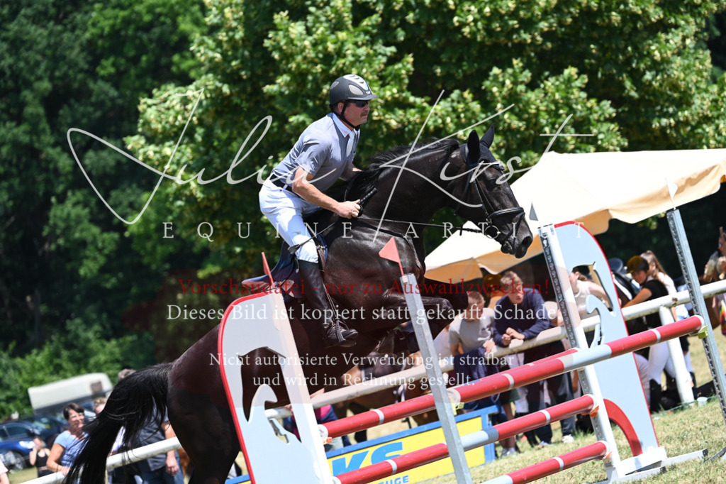 DSC_0754 | Pferde- und Turnierfotografie in Westsachsen. Pferdeportraits, Auftragszeichnungen und intuitive Kunst.