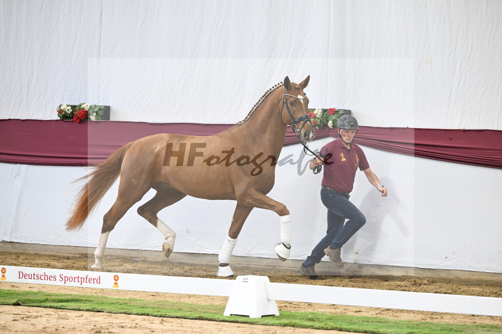 Kat-Nr. 22 Secret x Revolution_Gestuet Greim_47250623 | hf-fotografie - Realisiert mit Pictrs.com